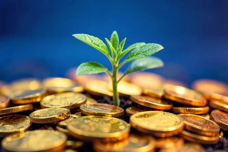 Uma planta crescendo em meio a moedas de ouro, simbolizando o crescimento financeiro.